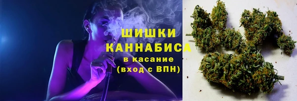 дживик Вязьма