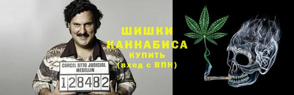 Альфа ПВП Протвино