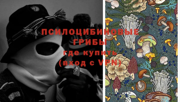 сатива Верхний Тагил
