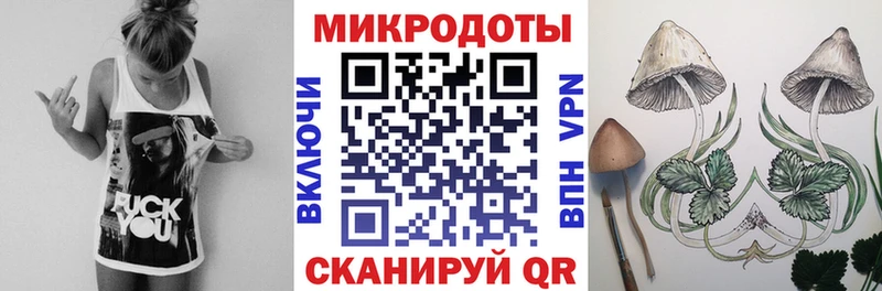 продажа наркотиков  Канаш  Псилоцибиновые грибы Magic Shrooms 