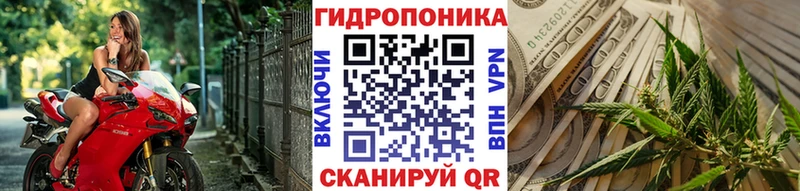 Бошки марихуана Ganja Канаш